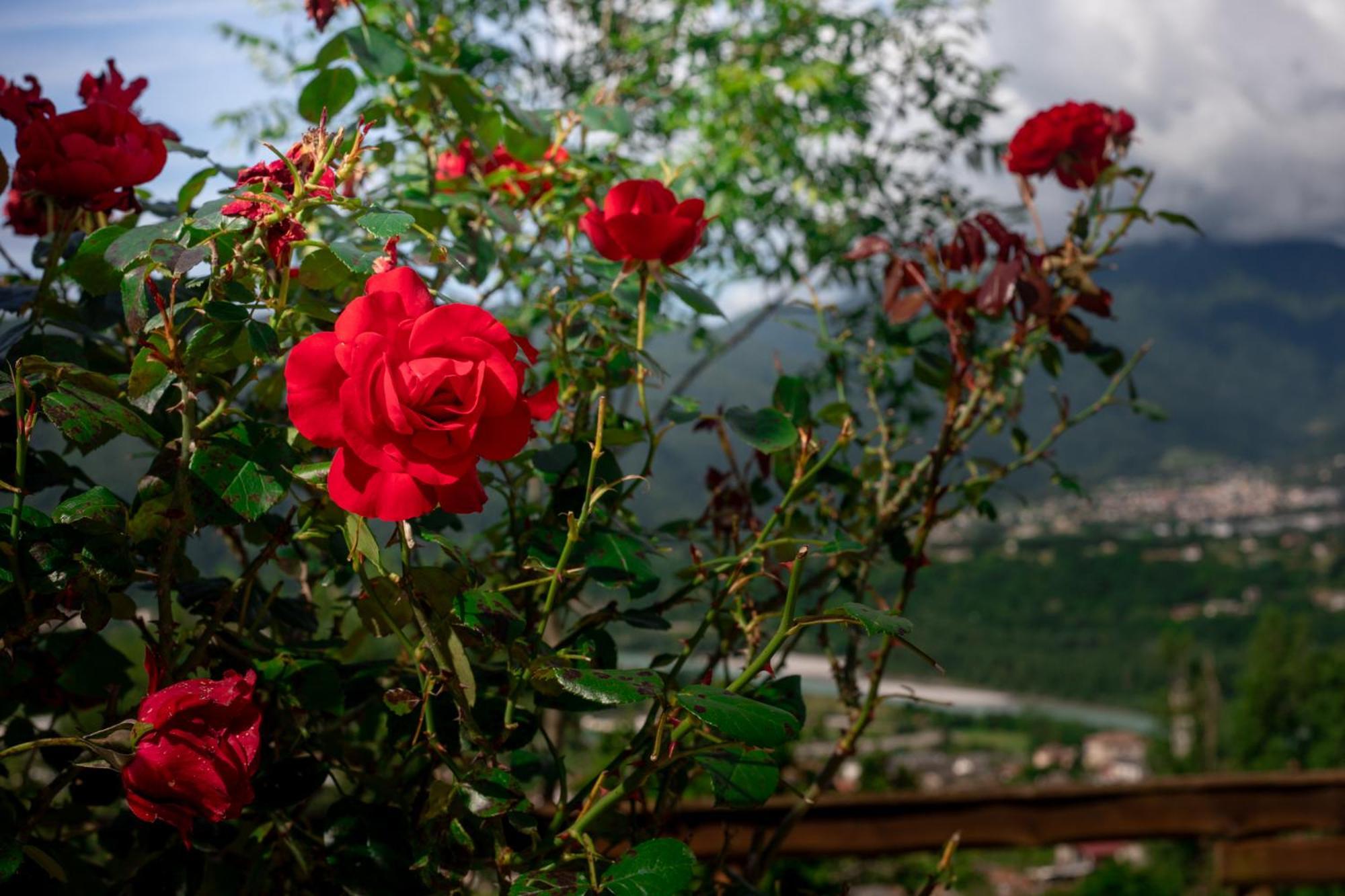 Agriturismo Riva Dei Coz Sequsino Exteriör bild